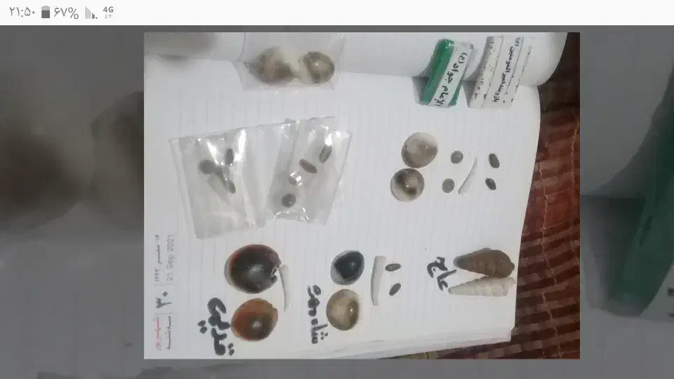 مهره شانس|زیورآلات و اکسسوری|قائمشهر, |دیوار