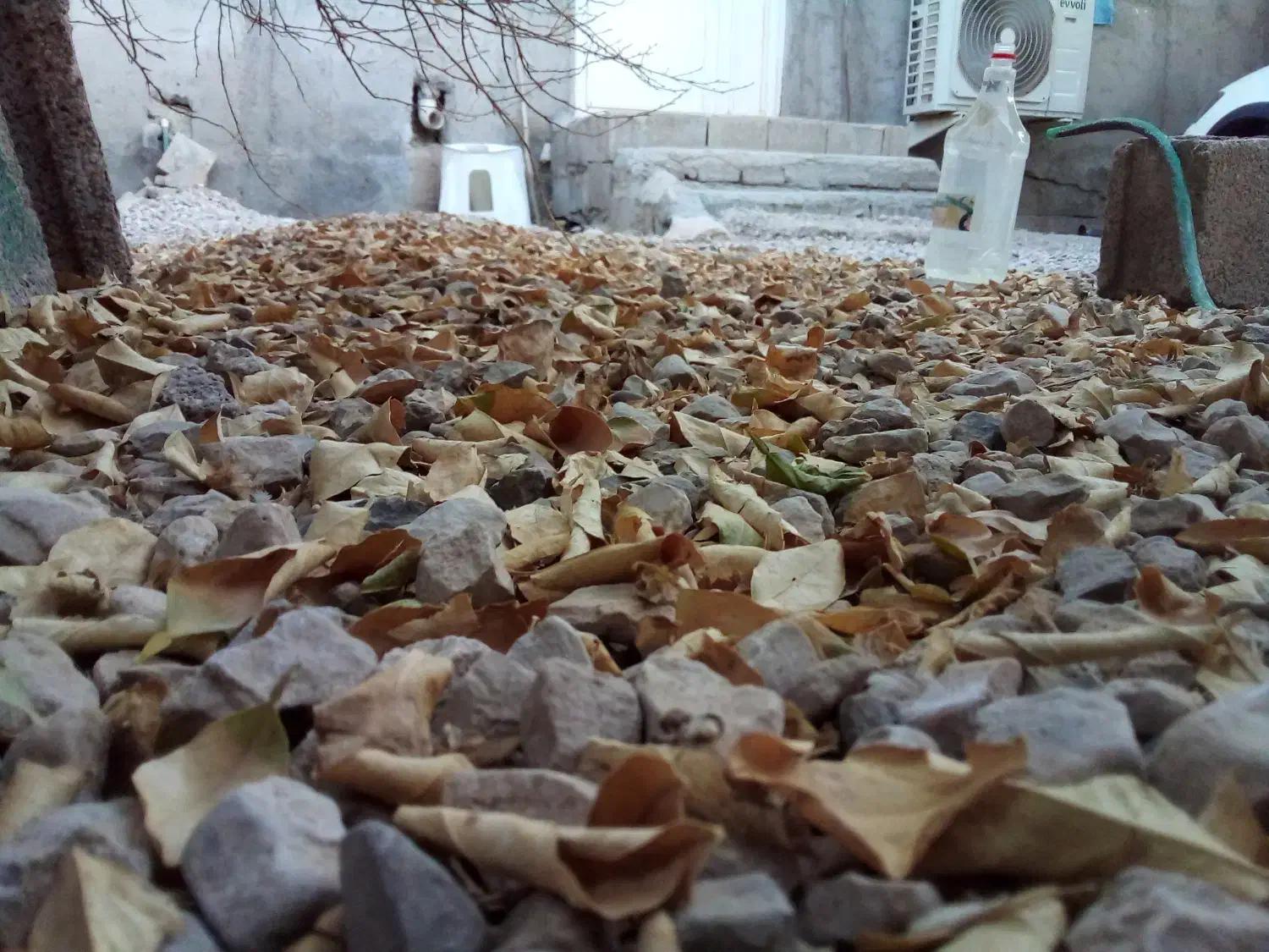 اجاره ویلایی|اجارهٔ خانه و ویلا|کاکی, |دیوار