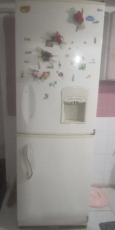 یخچال فریزر|یخچال و فریزر|یاسوج, |دیوار