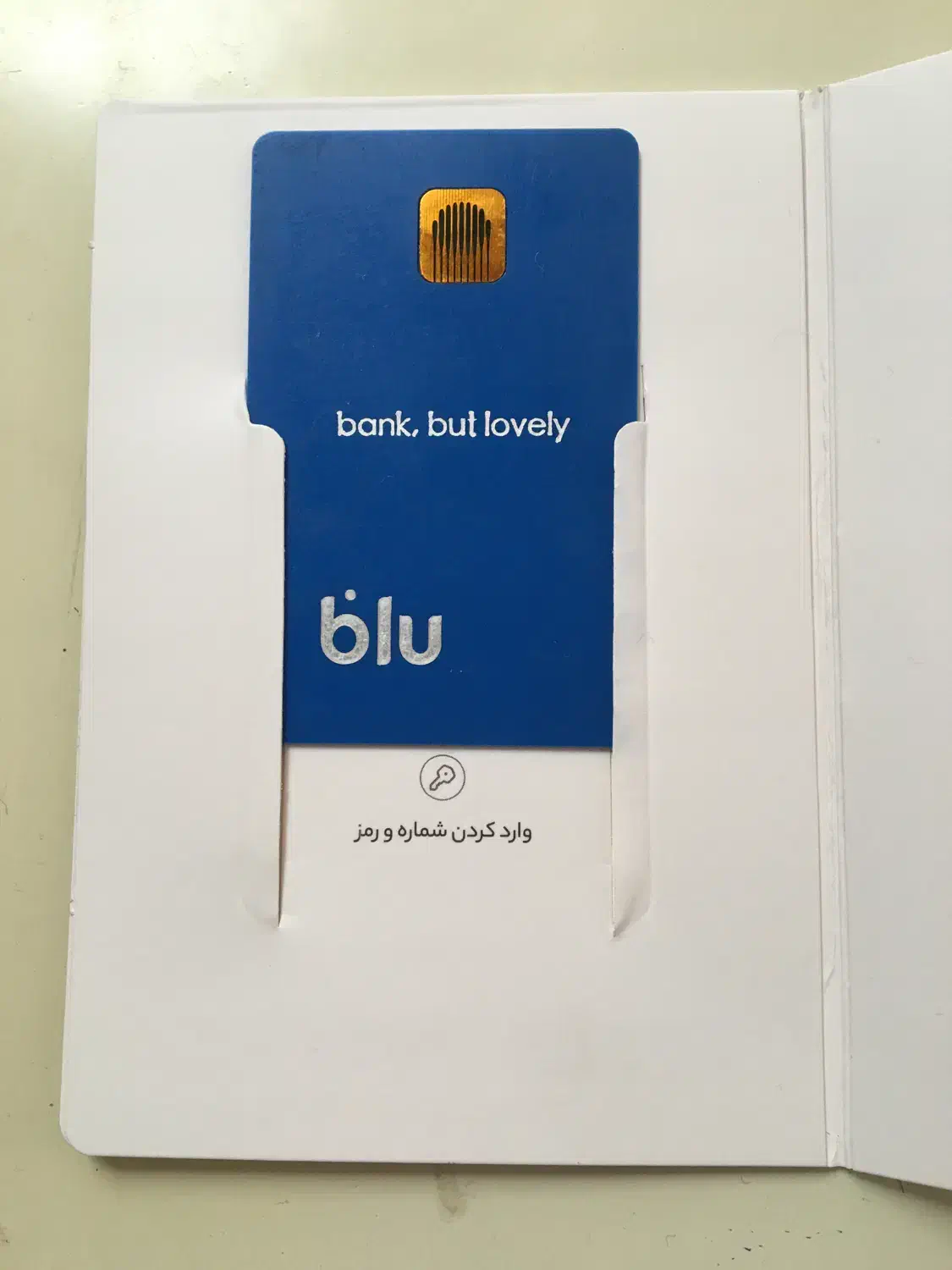 چجوری یک ماهه بدون ضامن 10 میلیون وام|کارت هدیه و تخفیف|شیراز, باغ تخت|دیوار