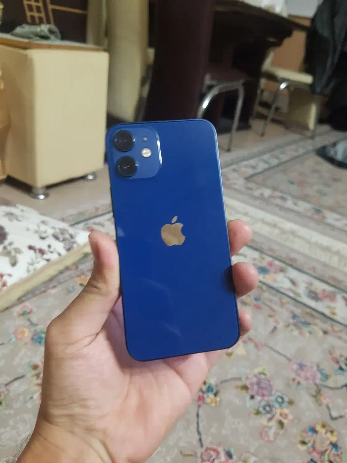 iphone 12 mini(256)|موبایل|مشهد, شریف|دیوار