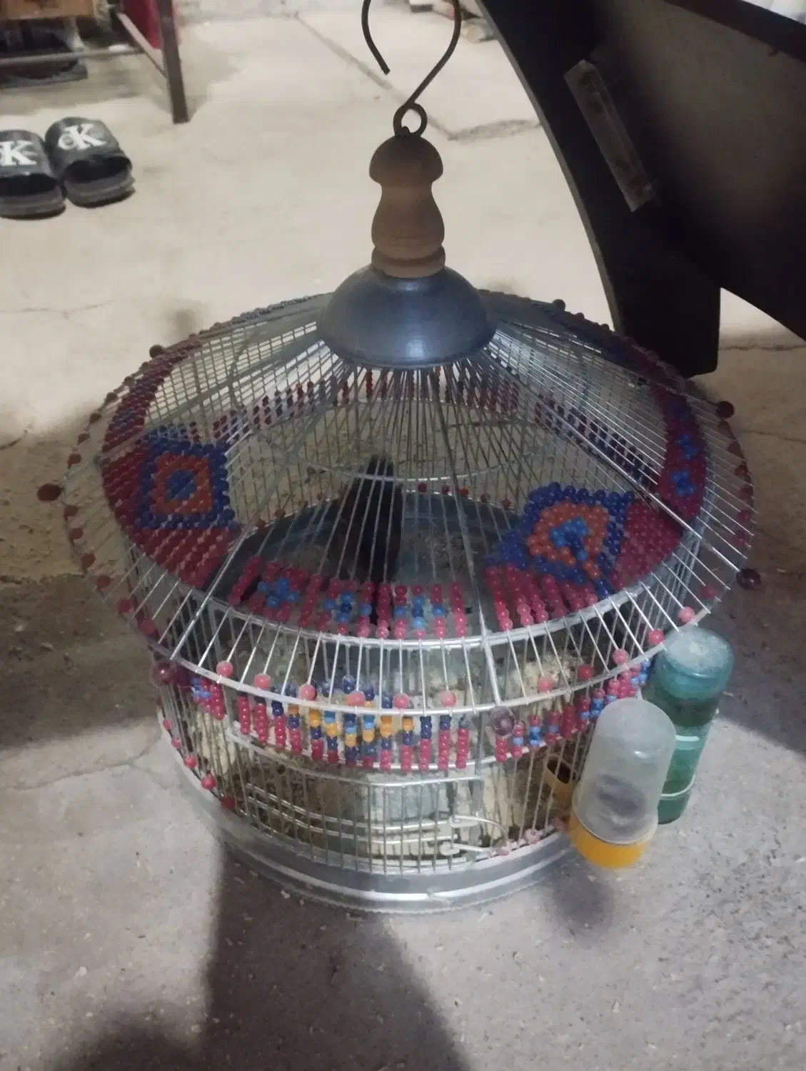 سه تا سهره|پرنده|مشگین شهر, |دیوار