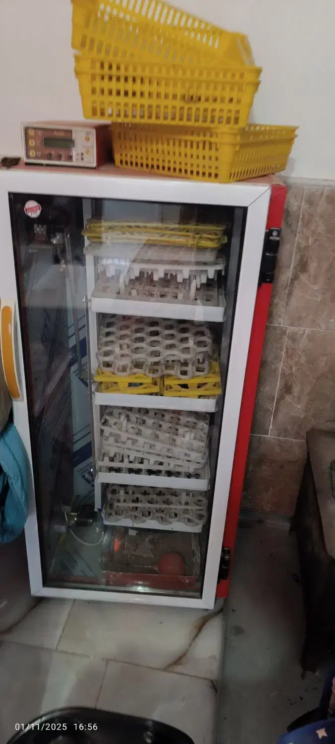 تعدادی وسایل منزل تمیز و سالم فروشی|صندلی و نیمکت|اردکان, |دیوار