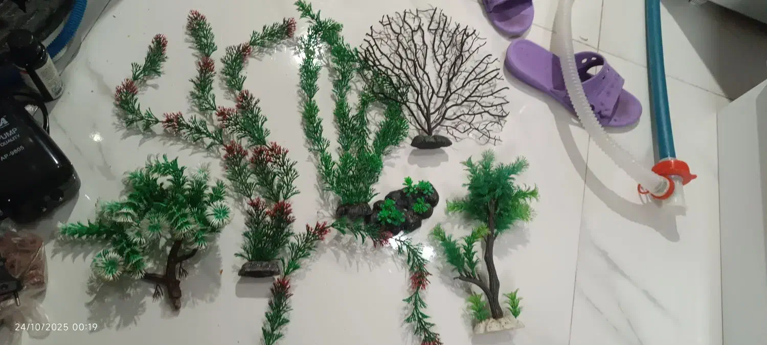 گیاه مصنوعی|ماهی|تهران, سلسبیل جنوبی|دیوار