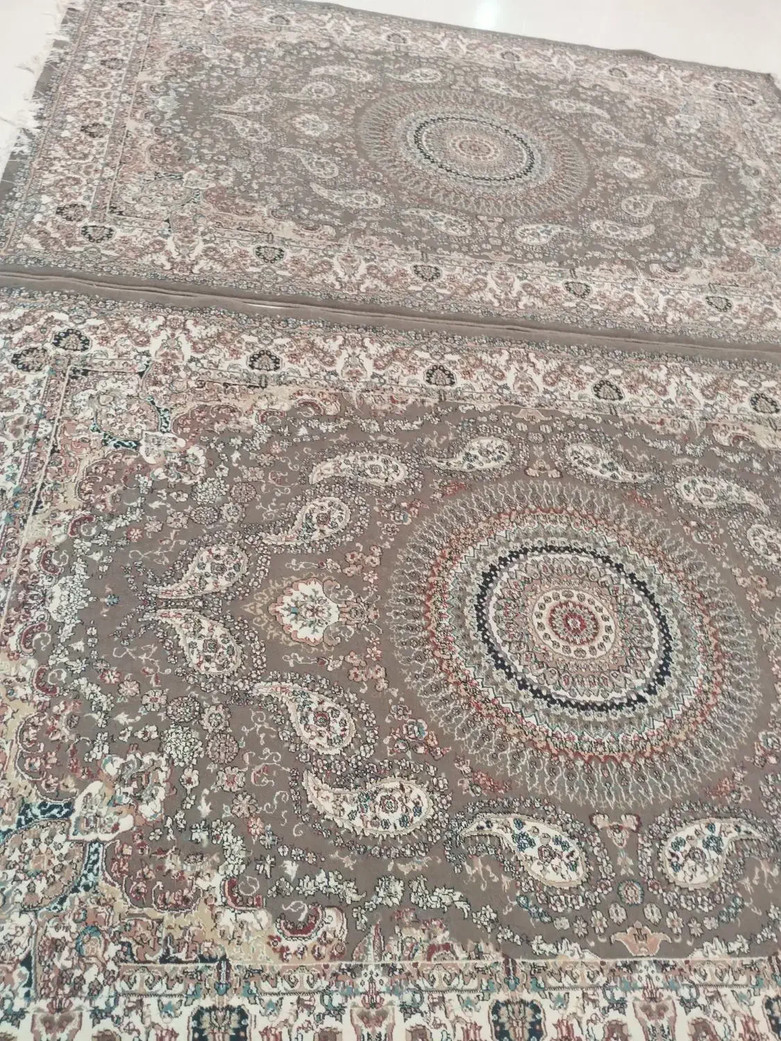 یک جفت فرش ۶ متری گردویی ضخیم پر تراکم در حد نو|فرش|هشتگرد, شهرک اداری|دیوار