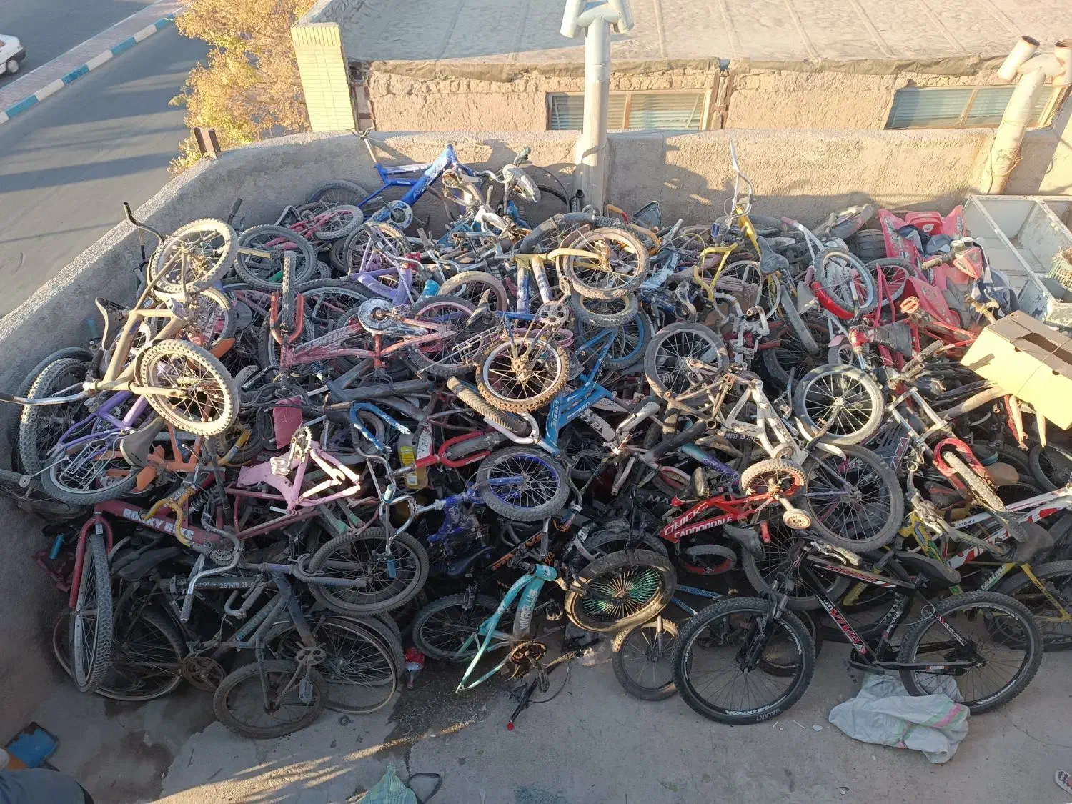 دوچرخه 12 16 20 24 26|دوچرخه، اسکیت، اسکوتر|تربت‌حیدریه, رجایی|دیوار