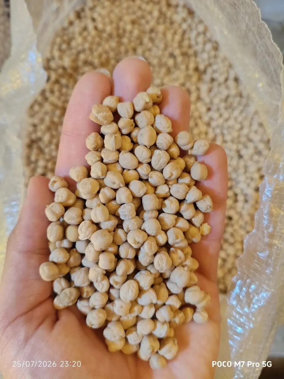 نخود|خوردنی و آشامیدنی|شوشتر, |دیوار