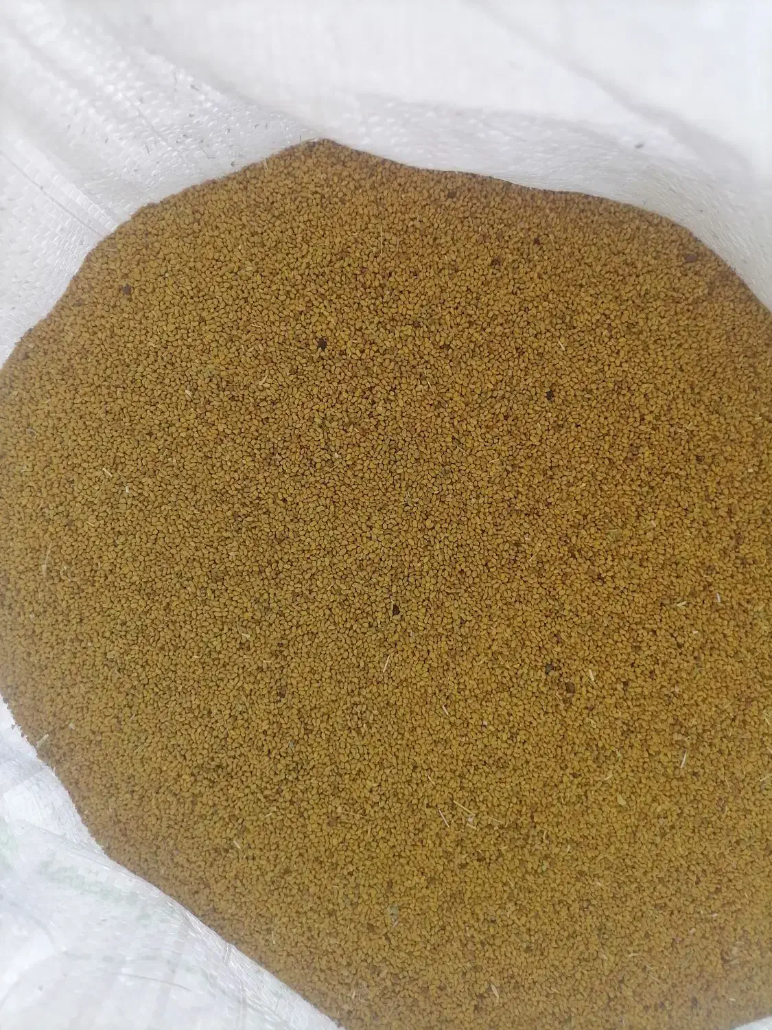 بذر یونجه درجه یک|خدمات باغبانی و درختکاری|قزوین, |دیوار