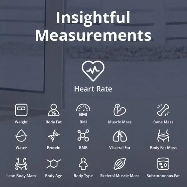 ترازوی وزن کشی حرفه ای EUFY P2 مناسب باشگاه و خانه|تجهیزات ورزشی|تهران, ایران|دیوار