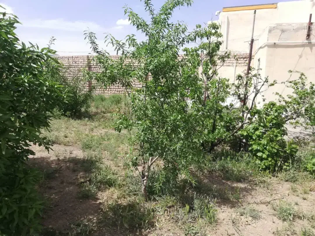 تنهاتر زمین وشنوه با آپارتمان  قم|فروش خانه و ویلا|قم, دانش|دیوار