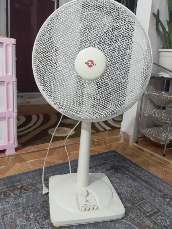 پنکه فروشی|پنکه و تصفیهکنندهٔ هوا|رشت, پیرکلاچای|دیوار