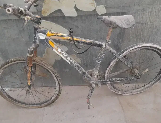 کناره ۵ متری|فرش|درگهان, |دیوار