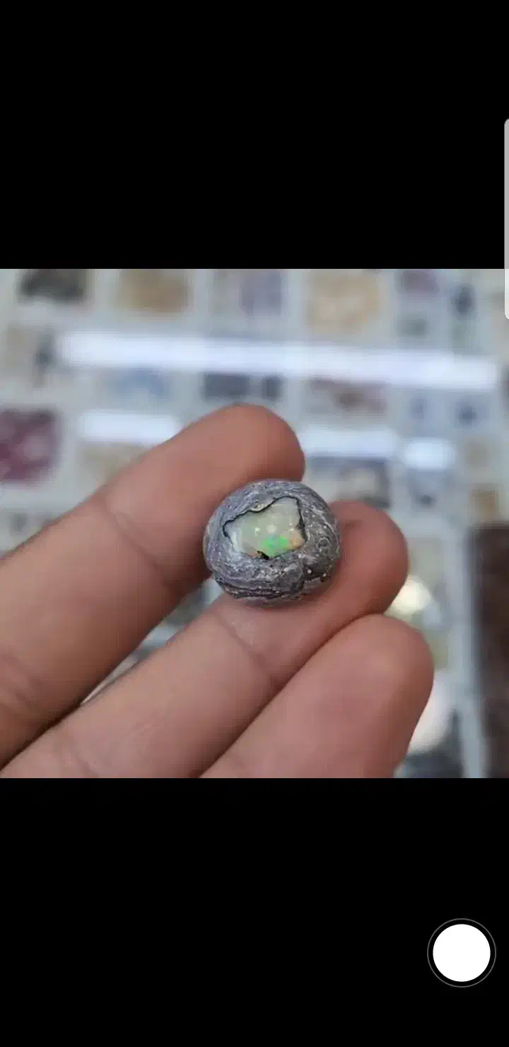 بولدر اوپال|جواهرات|تبریز, |دیوار