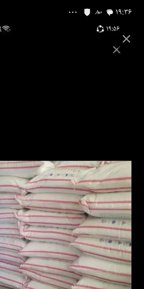 کود سفید|خدمات باغبانی و درختکاری|سنقر, |دیوار