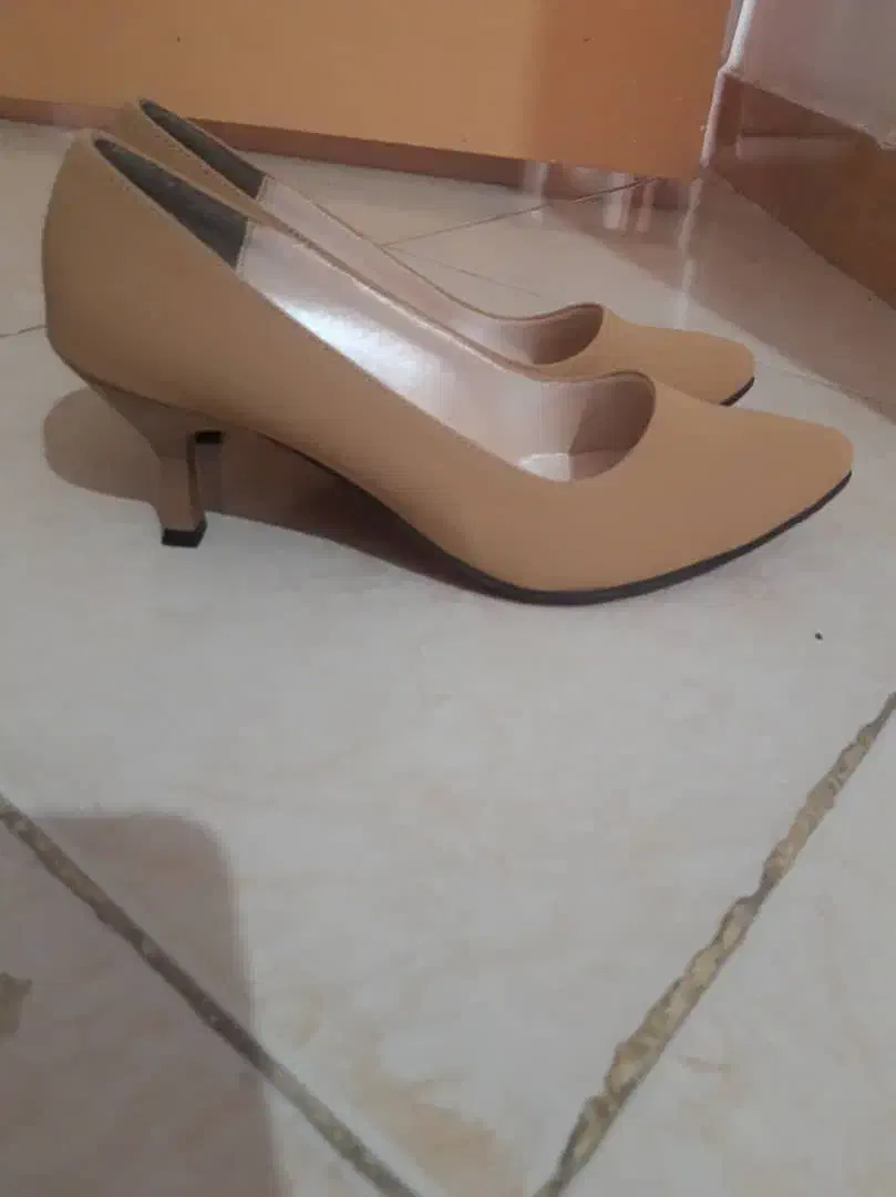 کیف وکفش مجلسی نو|کیف، کفش، کمربند|رشت, انصاری|دیوار