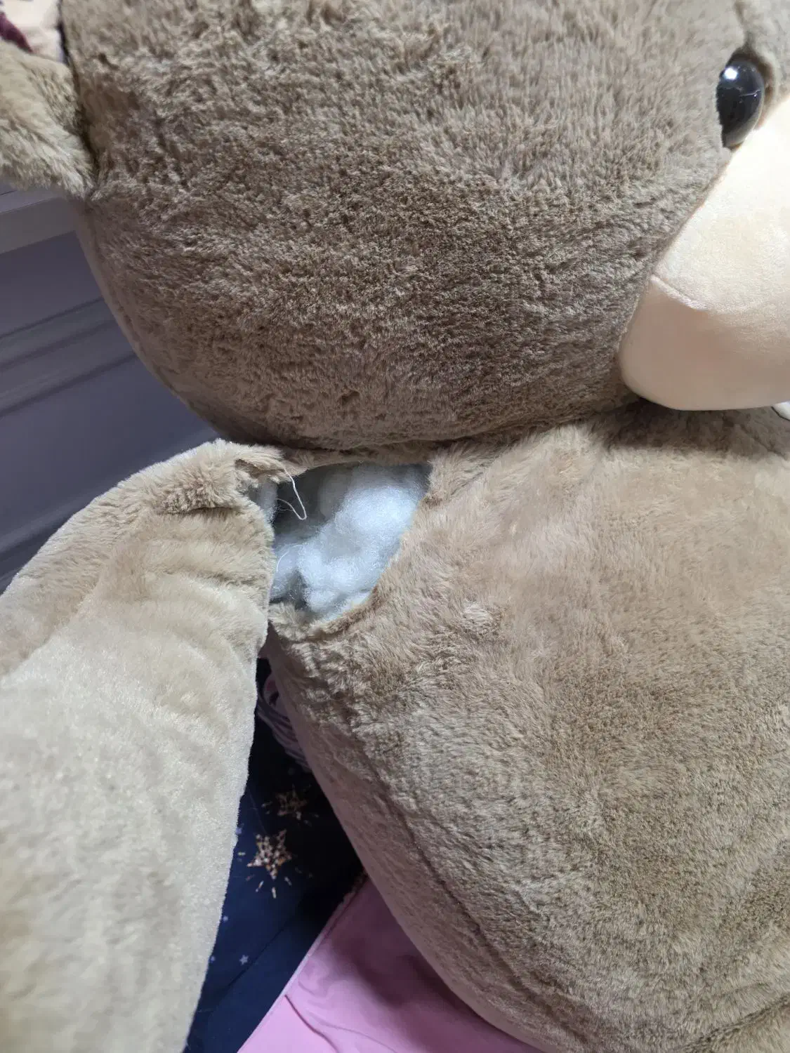 خرس بزرگ|اسباببازی بچه|اصفهان, درب کوشک|دیوار