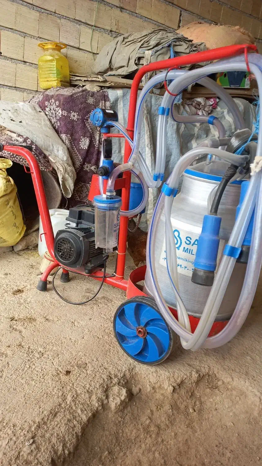 گاو|ماشینآلات صنعتی|کاکاوند, |دیوار