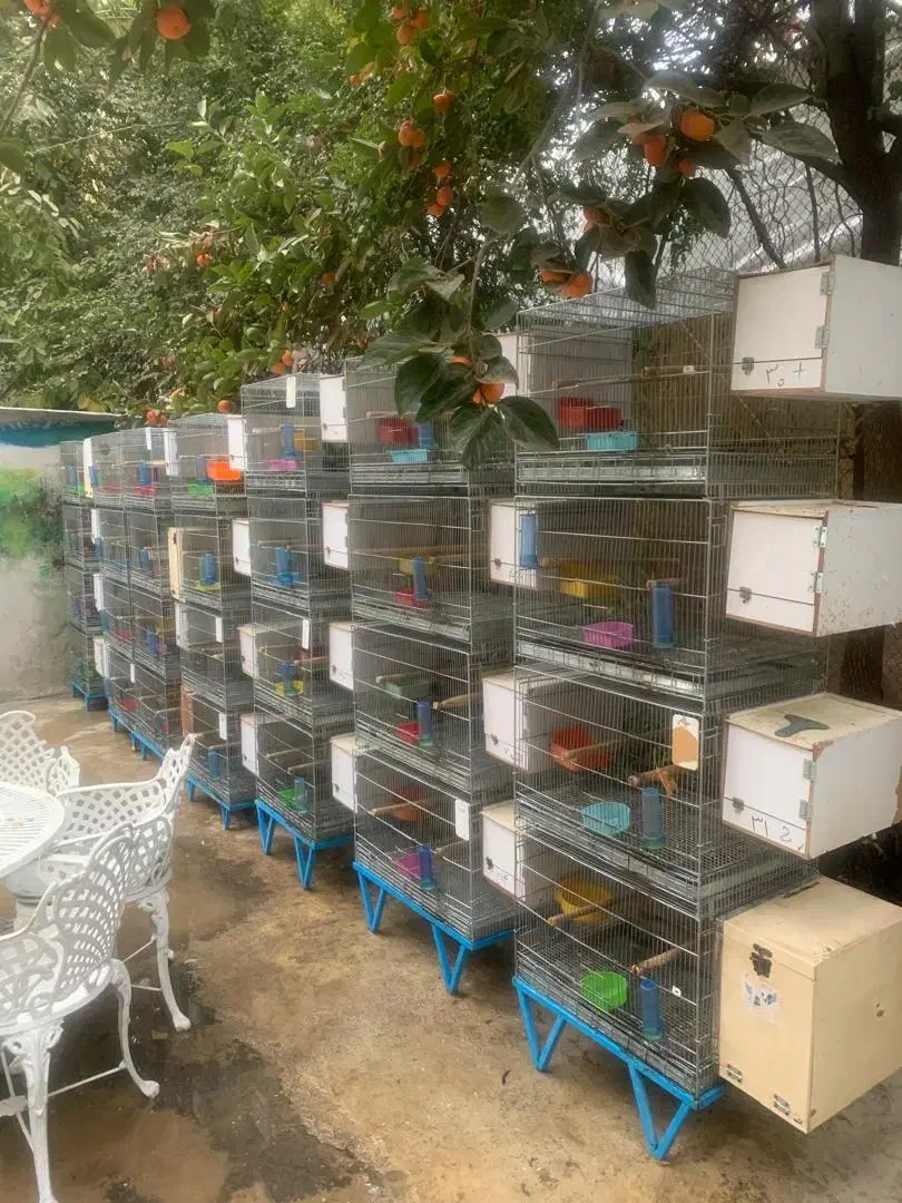 قفسه جفت خان تعداد 8جفت هر جفت 4 عدد|لوازم جانبی حیوانات|تهران, درکه|دیوار