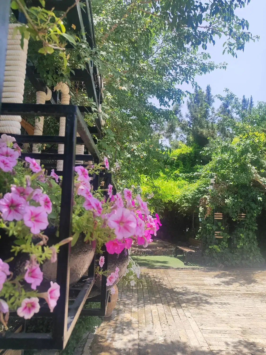 کار با جای خواب، سالندار سالاد زن و سفارشگیر|استخدام خدمات فروشگاه و رستوران|اصفهان, کوی امام|دیوار