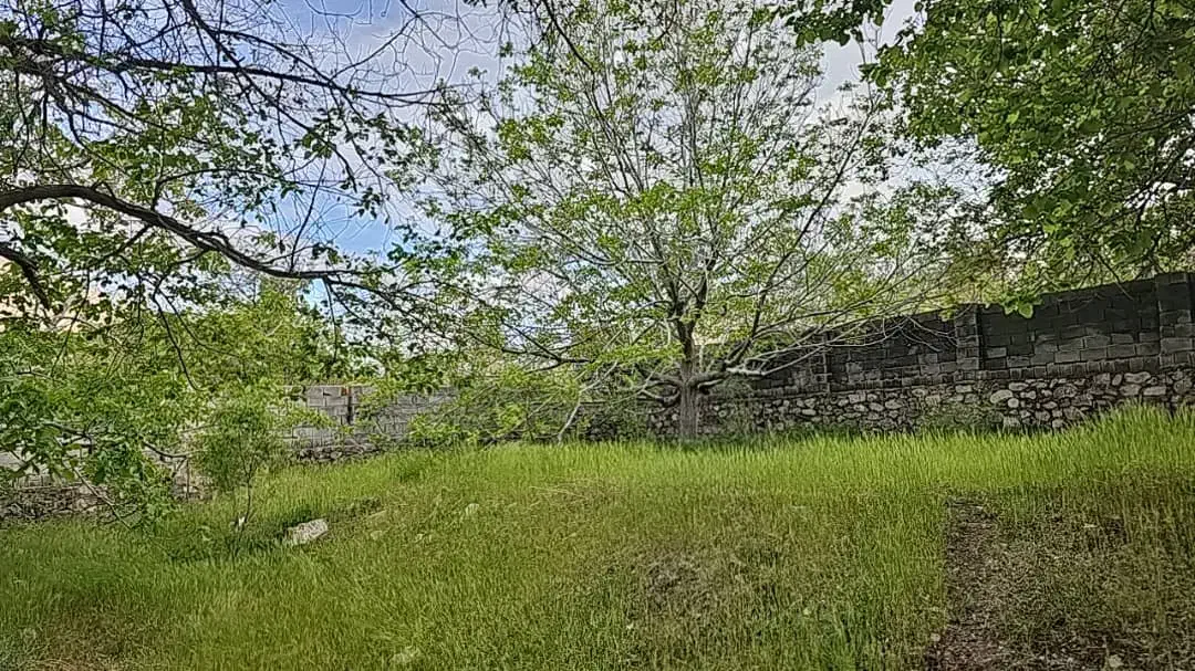 فروش زمین باغی دهبکری|فروش زمین و ملک کلنگی|دهبکری, |دیوار