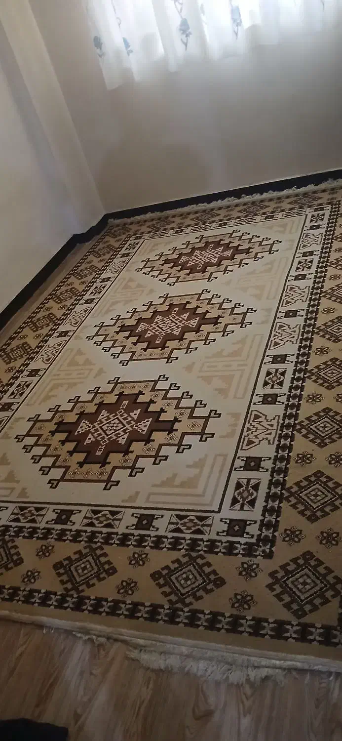 دوعددگلیم فرش ۶متری|گلیم، جاجیم، گبه|ملایر, |دیوار