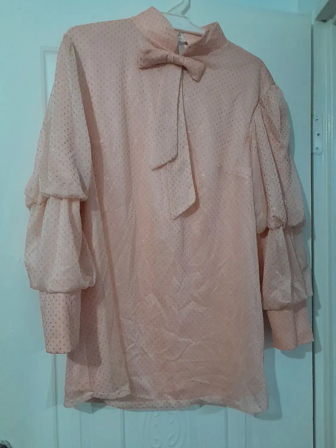 شومیز صورتی|لباس|مشکین‌دشت, |دیوار