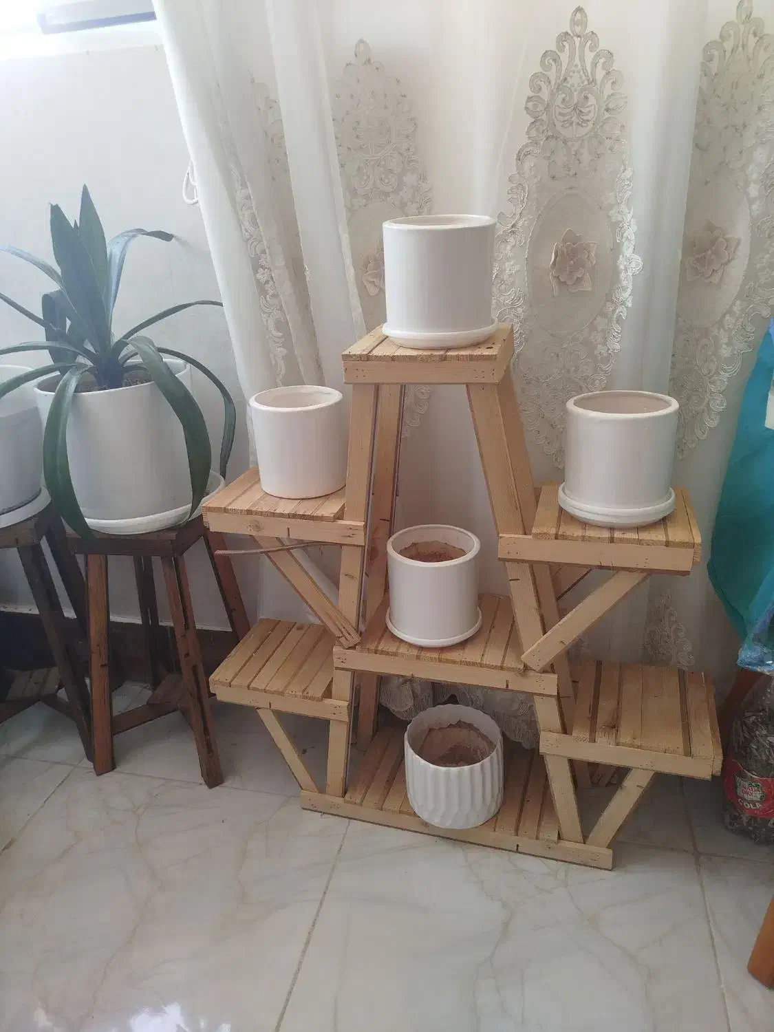 گلدان|گل و گیاه طبیعی|صدرا-فارس, فاز ۱|دیوار