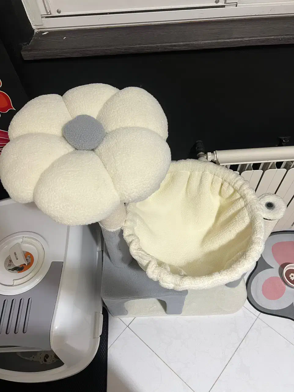 درخت گربه|لوازم جانبی حیوانات|رشت, کاکتوس|دیوار