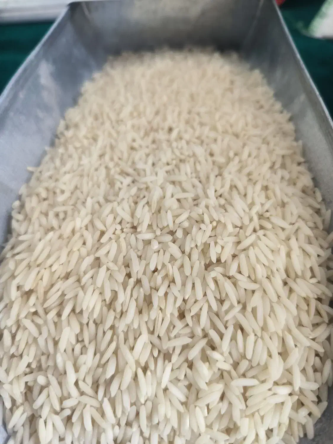 برنج طارم درجه یک|خوردنی و آشامیدنی|گلپایگان, |دیوار