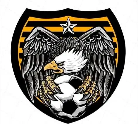 آموزشی فوتبال تیم عقاب زاگرس|خدمات آموزشی|بروجرد, |دیوار