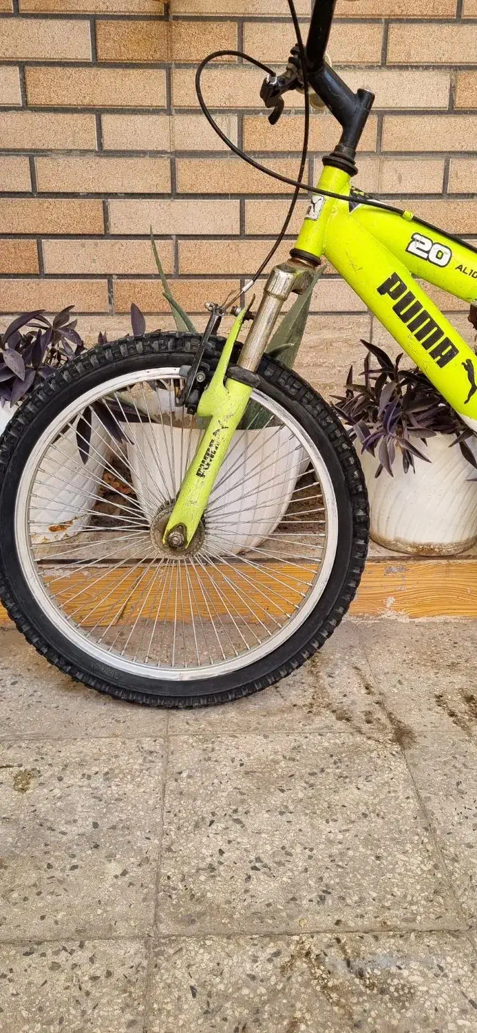 دوچرخه سایز ۲۰|دوچرخه، اسکیت، اسکوتر|پاکدشت, پاکدشت (مامازند)|دیوار