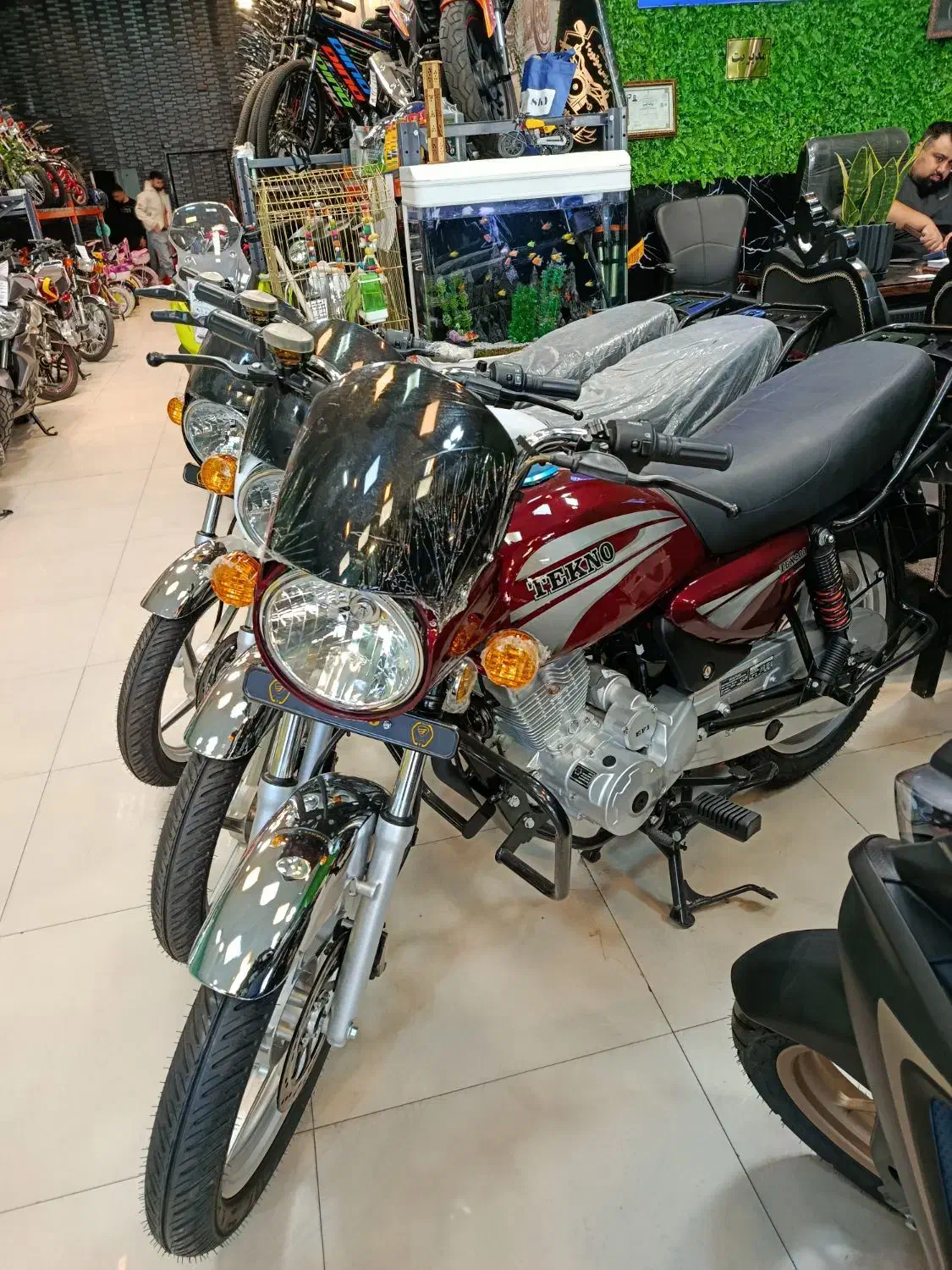 باکسر ۲۰۰cc اقساط بلند مدت (ذاکری و جعفرزاده)|موتورسیکلت|مشهد, فرهنگ|دیوار