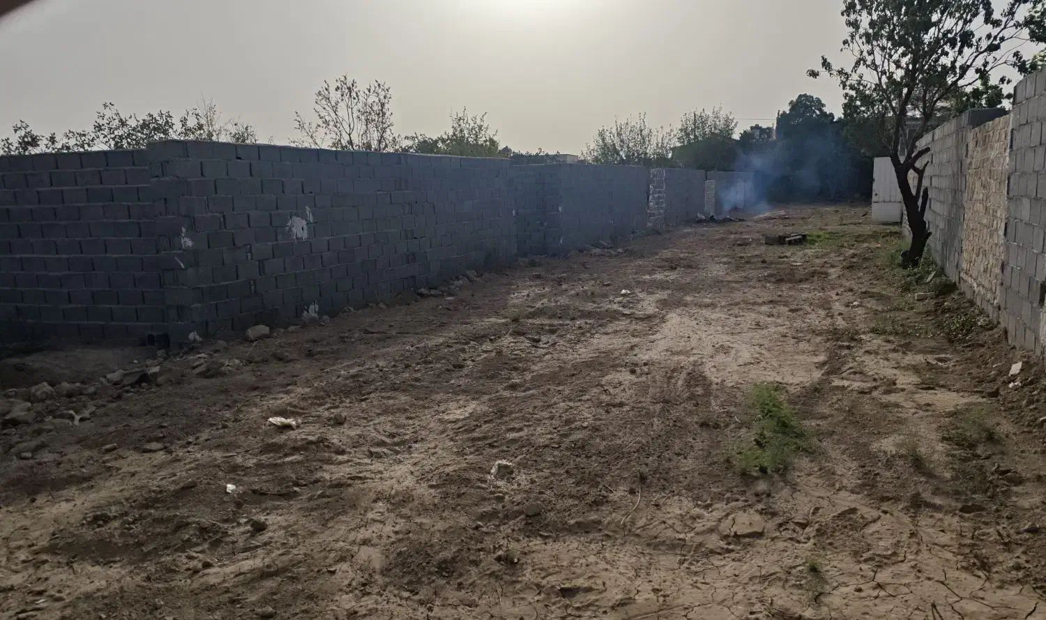 باغ سنددار فین بزرگ قبل یزدآباد|فروش زمین و ملک کلنگی|کاشان, یزد‌آباد|دیوار