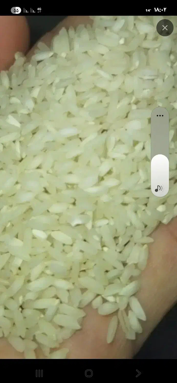 چمپاه|خوردنی و آشامیدنی|رامهرمز, |دیوار