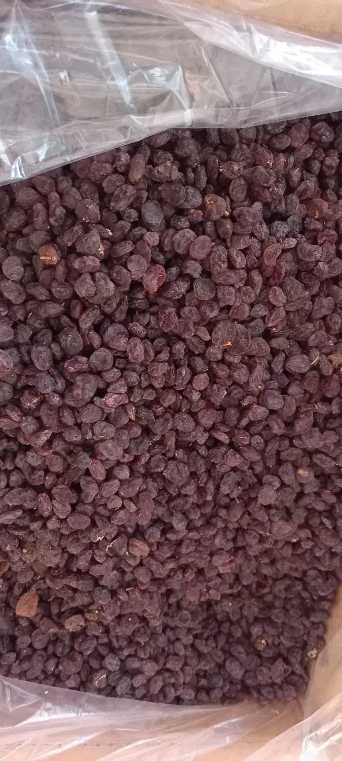 کشمش پلویی|خوردنی و آشامیدنی|رودسر, |دیوار