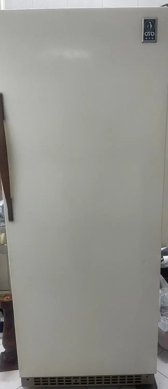 فریزر پارس (پا پنگوئن)|یخچال و فریزر|اصفهان, جلفا|دیوار