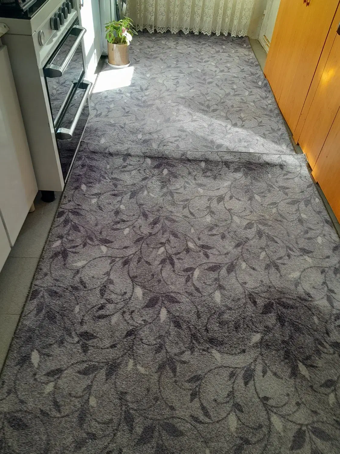 پالاز موکت نو|موکت|بروجرد, |دیوار