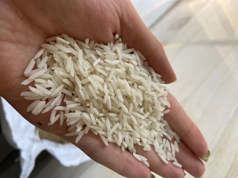 برنج درجه ی یک هاشمی وبرنج نیم دونه ی هاشمی|خوردنی و آشامیدنی|فردیس, قریشی|دیوار