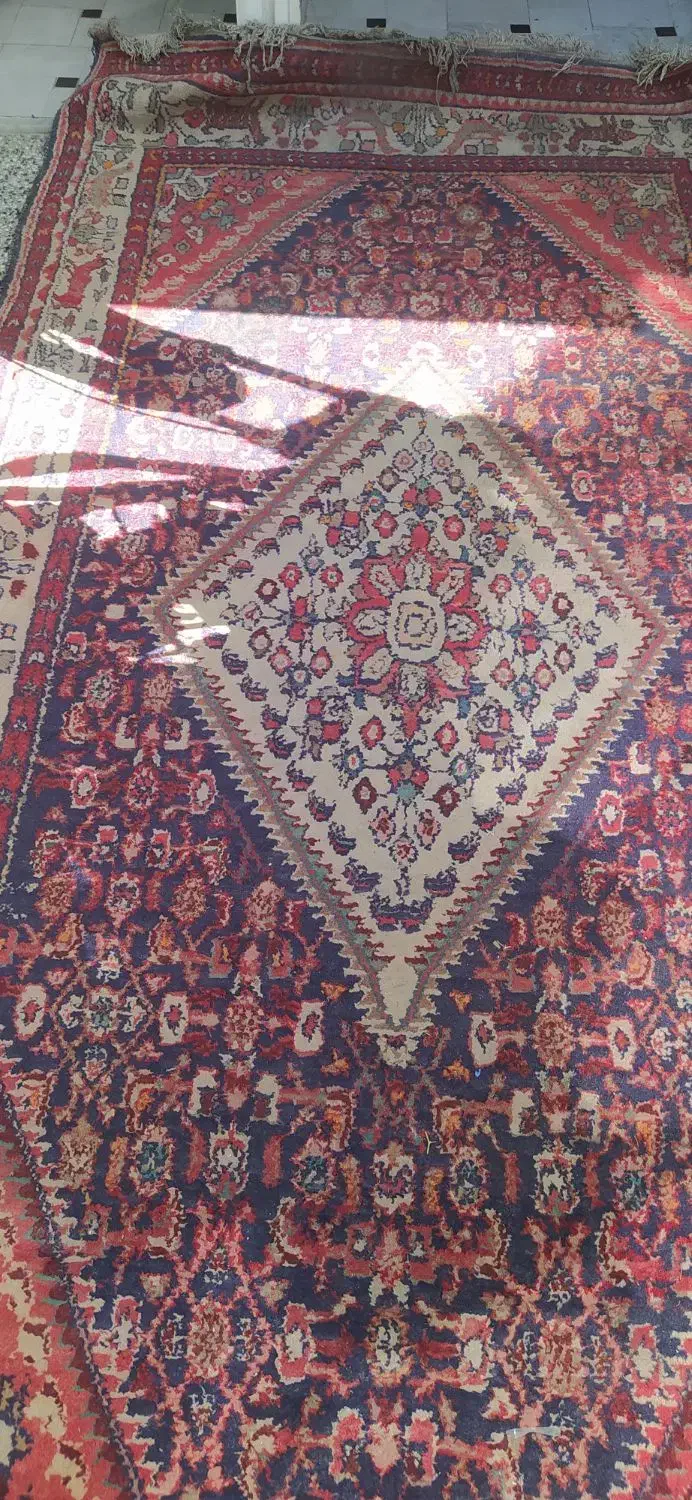 قالی دست بافت|فرش|قم, علی آباد سعدگان|دیوار