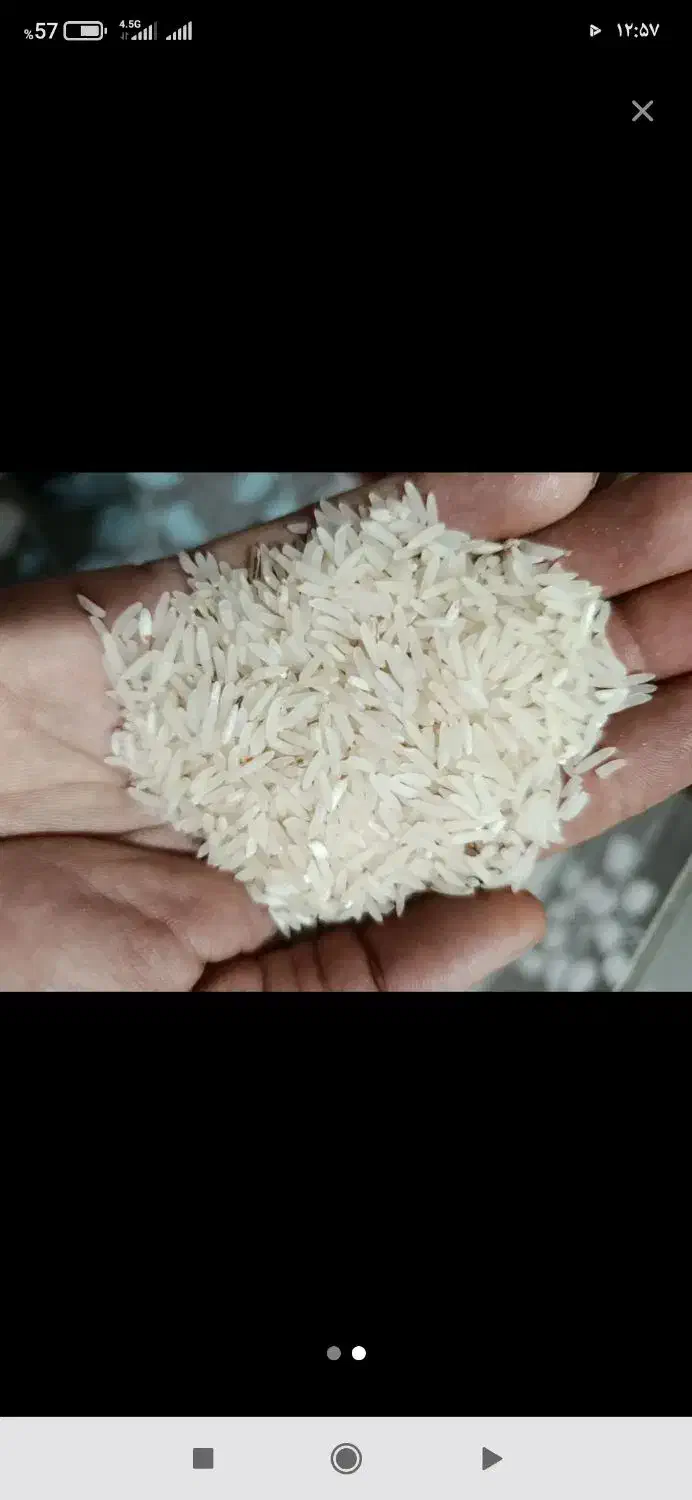 برنج فجر سوزنی 90روزه به شرط پخت|خوردنی و آشامیدنی|سنگدوین, |دیوار