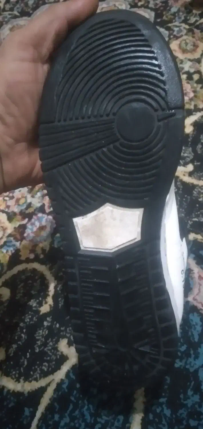 کفش|کیف، کفش، کمربند|تهران, زاهد گیلانی|دیوار