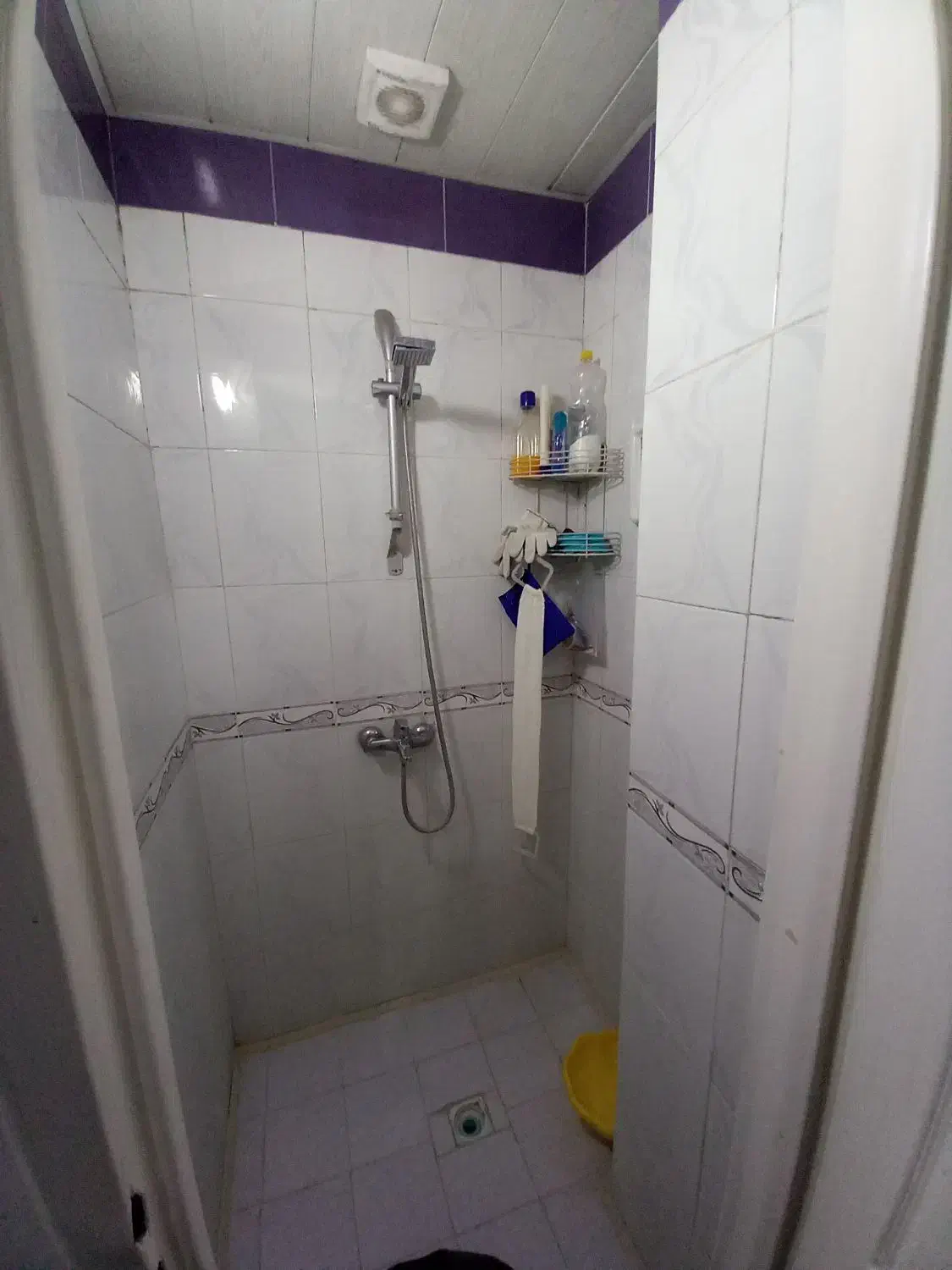 ۴۰متر استادمعین دامپزشکی. ۳عدد تکواحدی