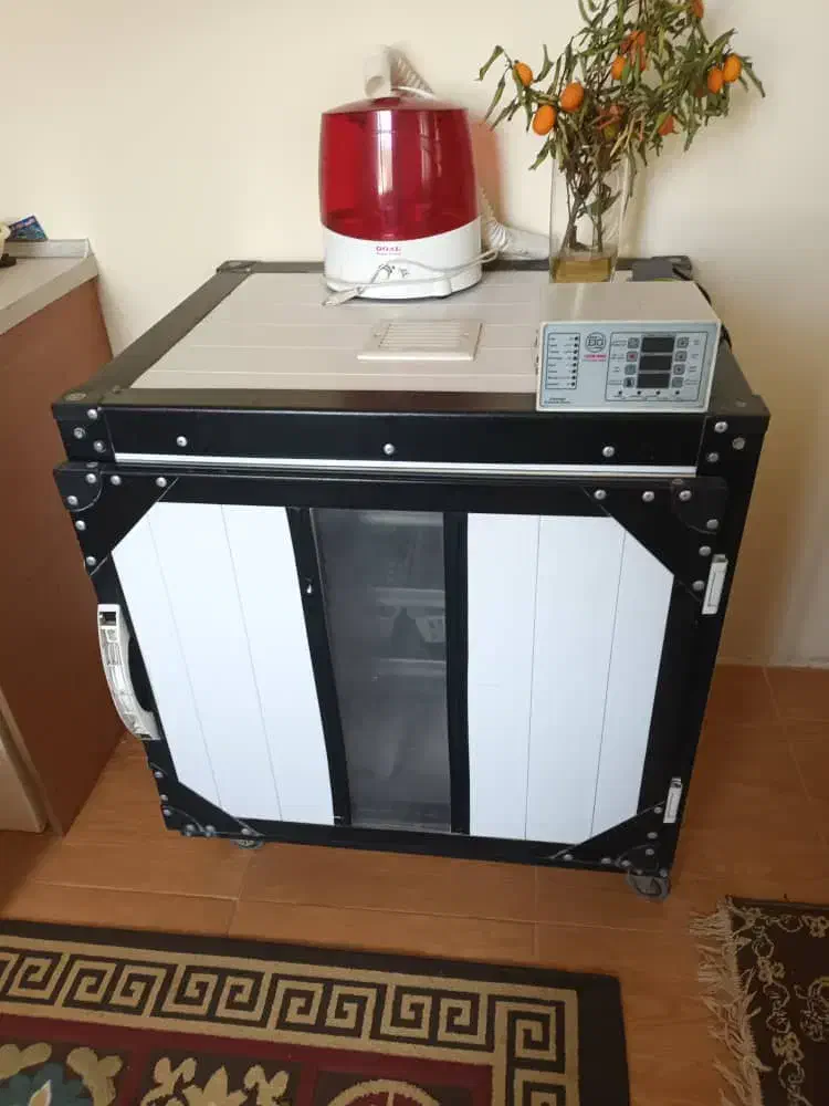 لوازم جانبی حیوانات|لوازم جانبی حیوانات|ساری, |دیوار