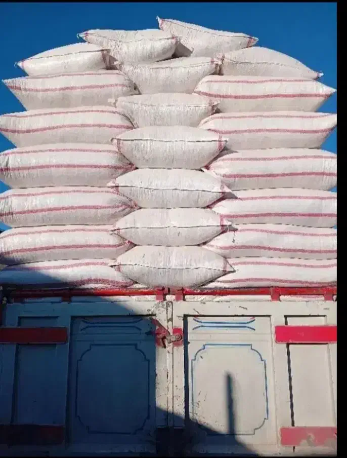 کاه اسینم|لوازم جانبی حیوانات|دهگلان, |دیوار