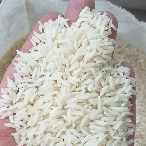 برنج صدری‌گرم (زرد دُم) ارگانیک|حراج|شفت, |دیوار