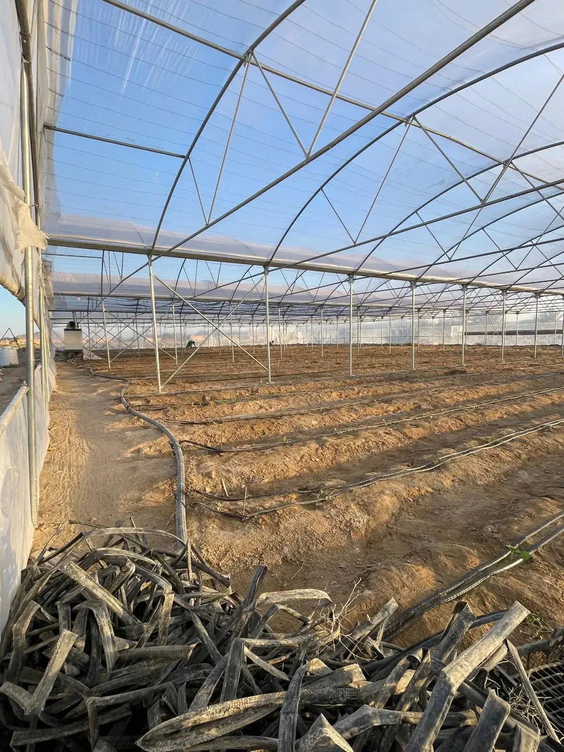 فروش گلخانه همراه با زمین و آب|اجارهٔ دفتر صنعتی، کشاورزی، تجاری|سراوان, |دیوار