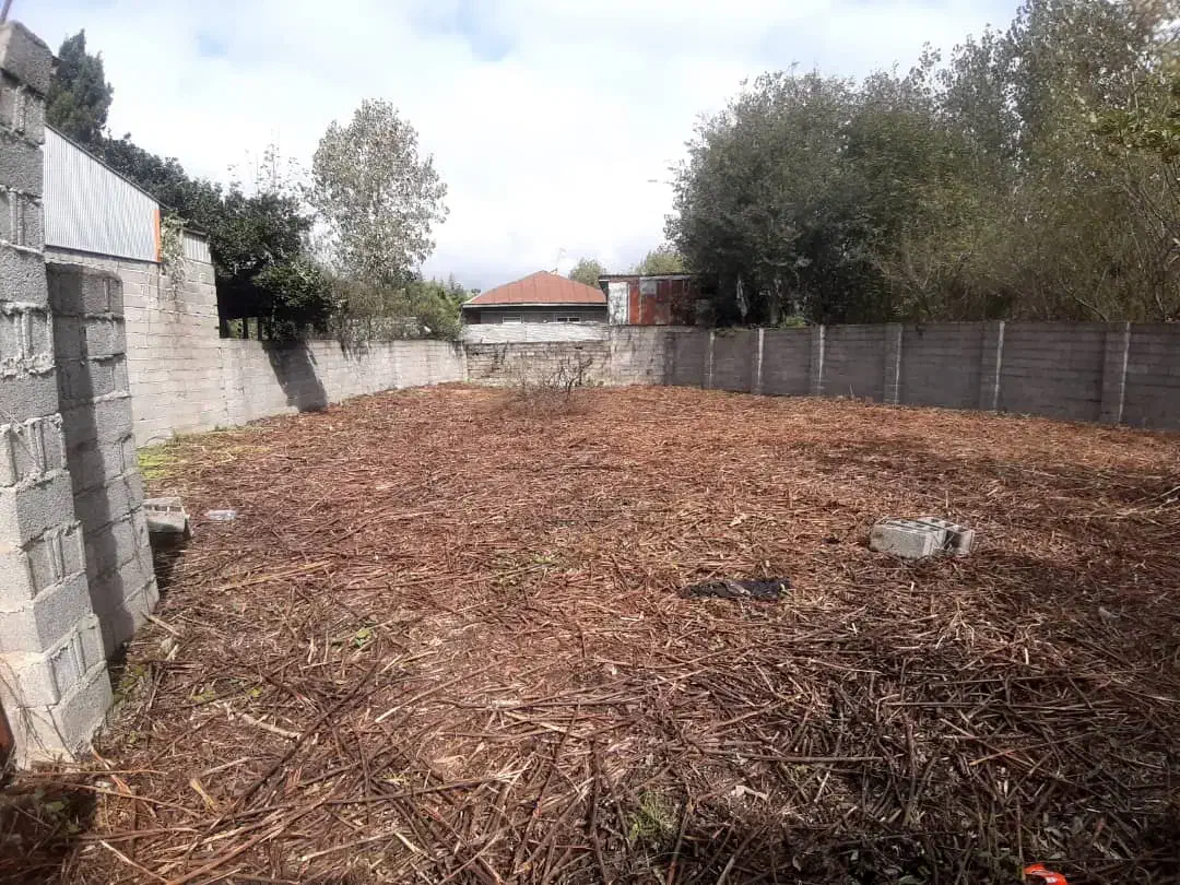 مسکونی دور دیوار|فروش زمین و ملک کلنگی|لشت نشا, |دیوار