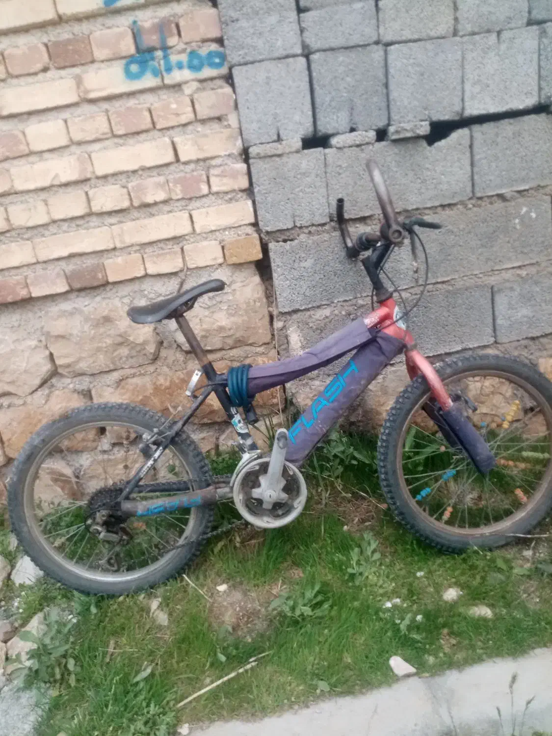 دوچرخه 20|دوچرخه، اسکیت، اسکوتر|سیلوانه, |دیوار