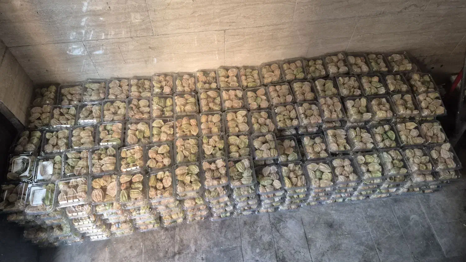 فیسالیس و کیوانا درجه یک به صورت کلی موجوده است|عمدهفروشی|سجاس رود, |دیوار