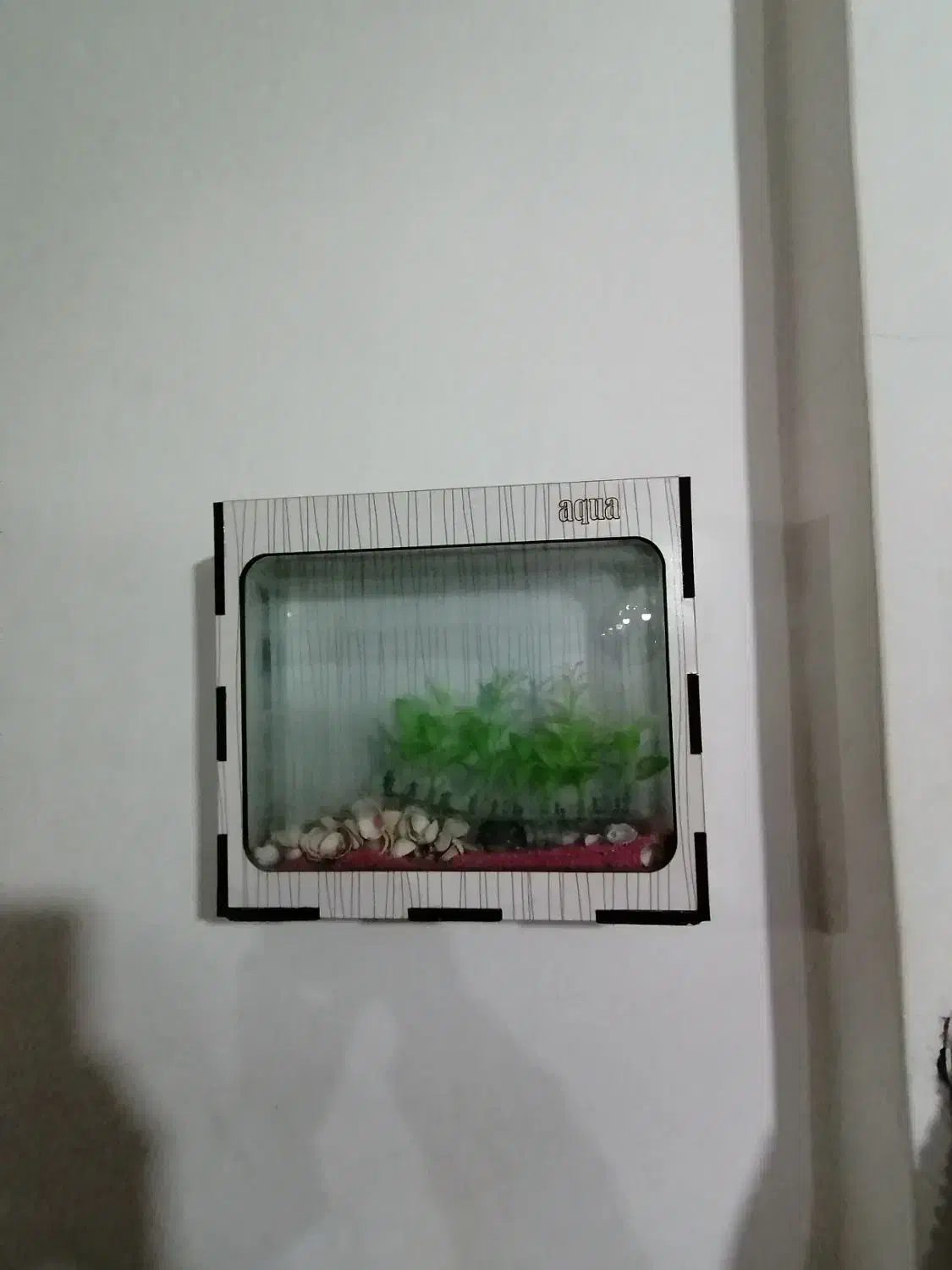 آکواریوم دیواری|ماهیگیری|ارومیه, |دیوار